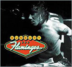 Tapa o Portada del disco FLAMINGOS de  ENRIQUE BUNBURY